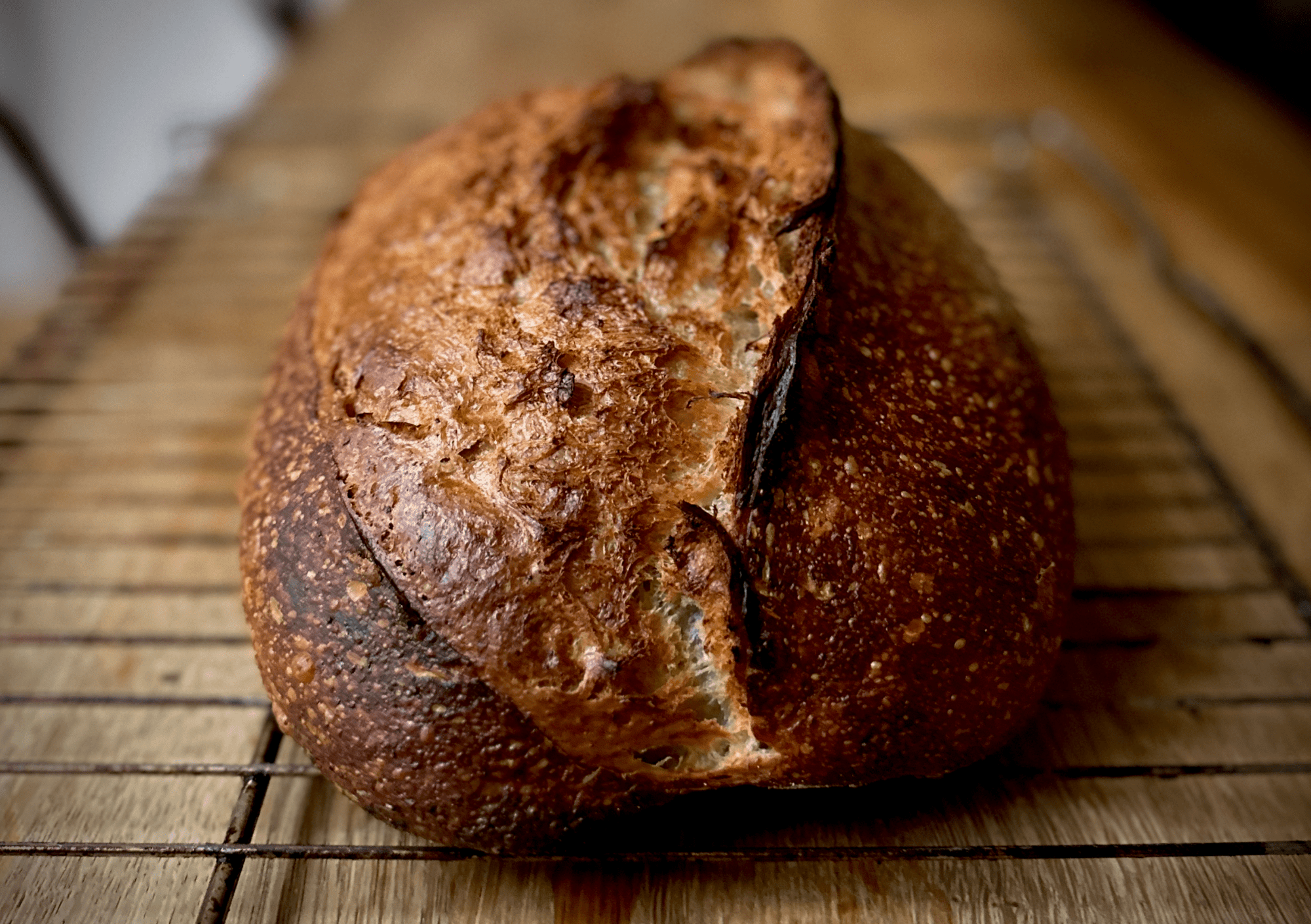 Sourdough Bread - Bakeri Solutions