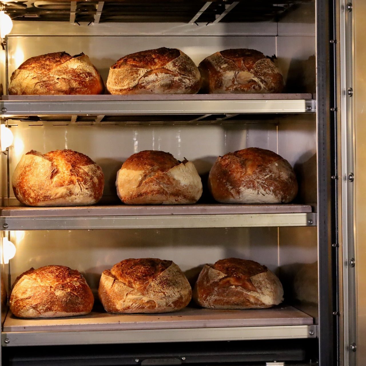 My Forno Single phase Bread/Pizza/Pastry Oven - FACTORY ORDER - Bakeri Solutions